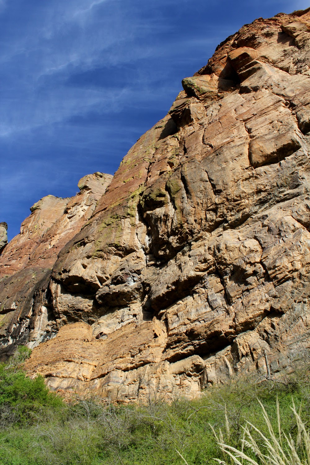 IMG_3727.JPG height=640